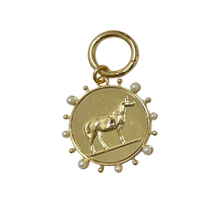CHARM COLLAR EQUINORO