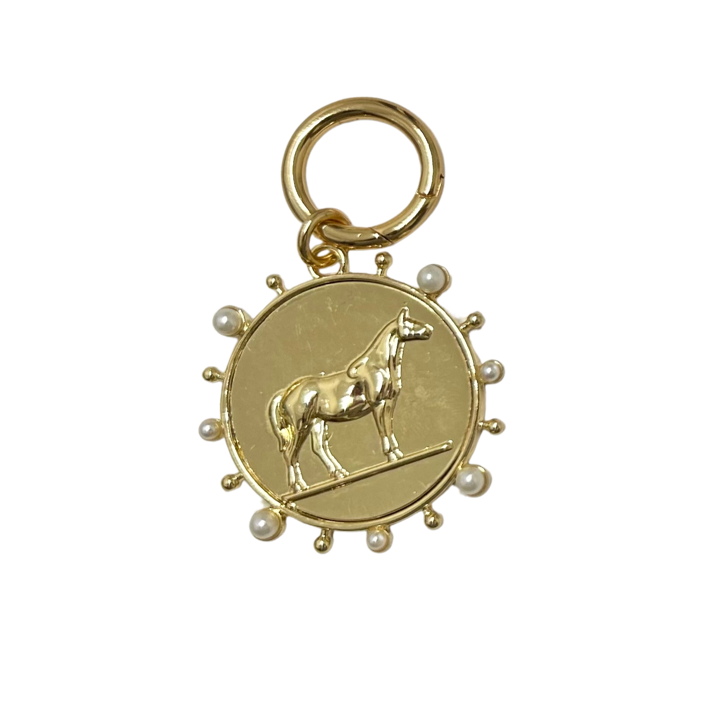 CHARM COLLAR EQUINORO