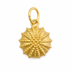 CHARM ERIZO
