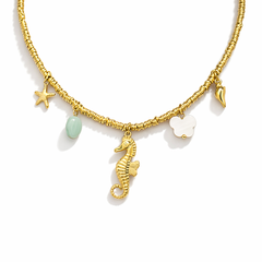 Collar Coral