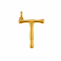 CHARM INICIAL