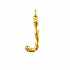 CHARM INICIAL