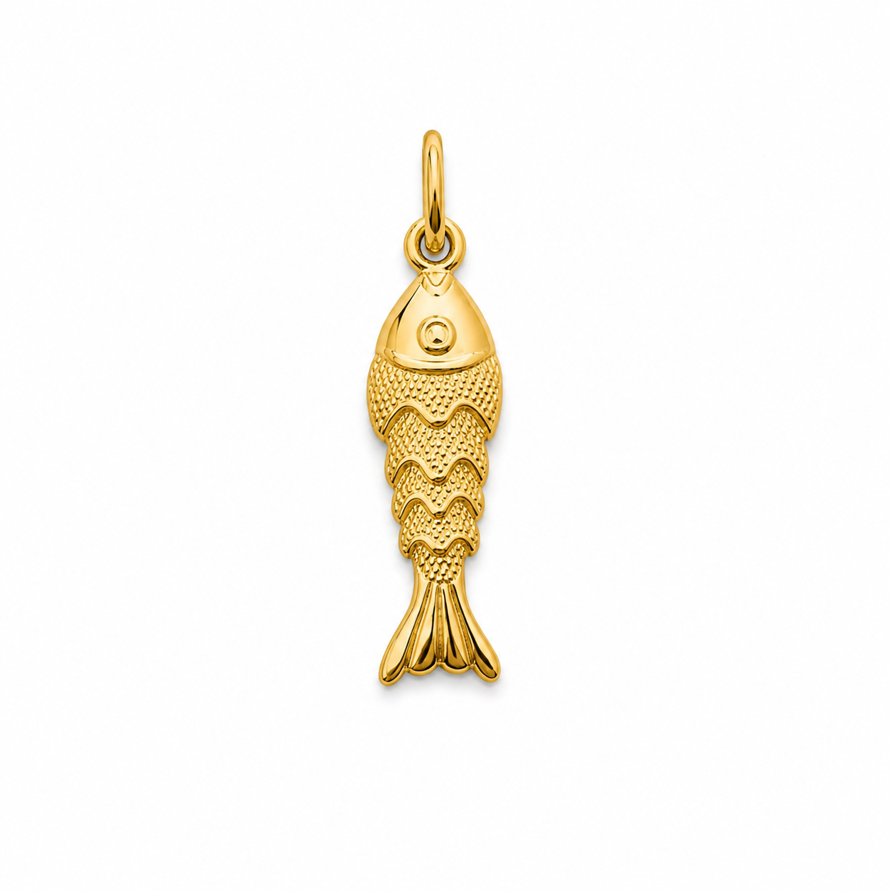 CHARM CORAL