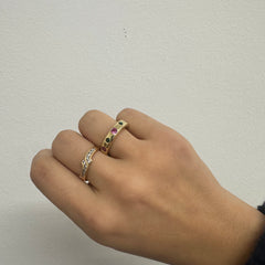 ANILLO POLAR