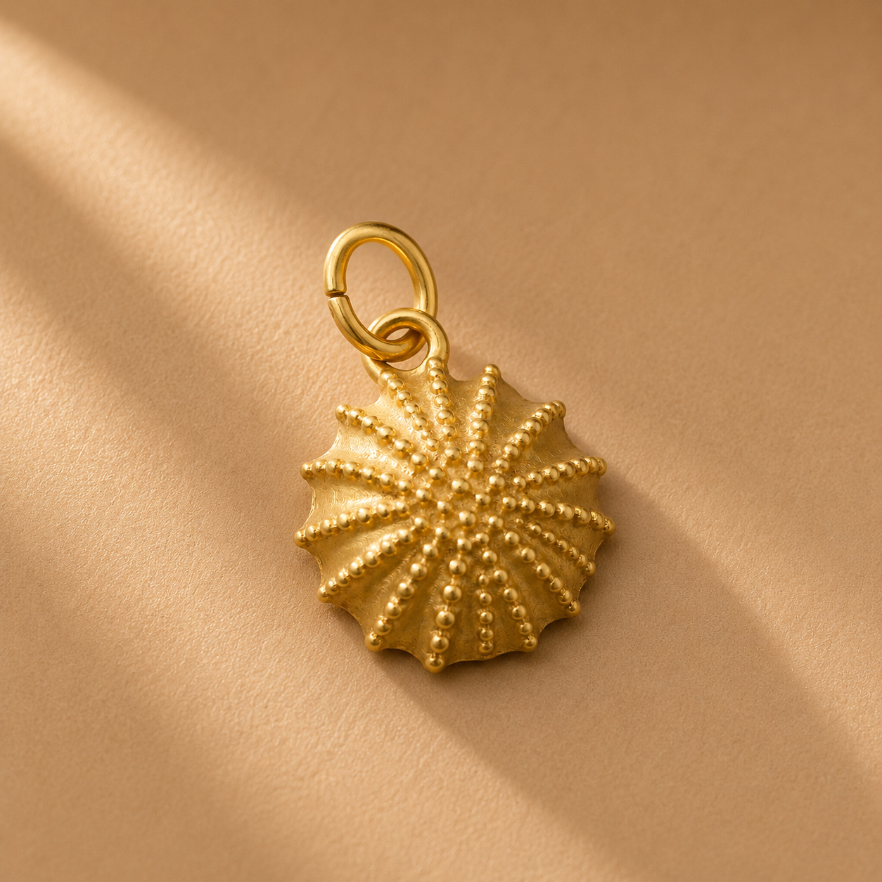 CHARM ERIZO
