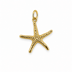 CHARM ESTEL